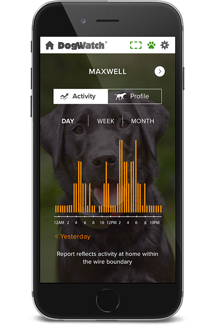 Trini DogWatch, St. James, Trinidad | SmartFence WebApp Image