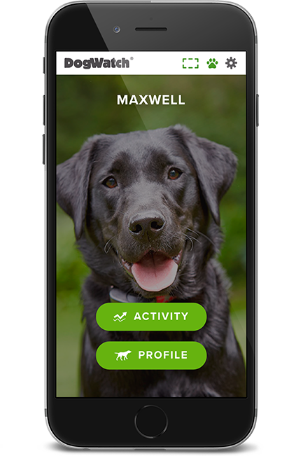 Trini DogWatch, St. James, Trinidad | SmartFence WebApp Image