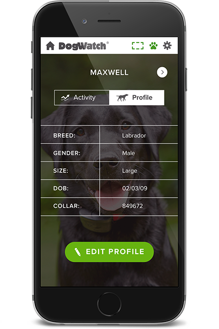 Trini DogWatch, St. James, Trinidad | SmartFence WebApp Image