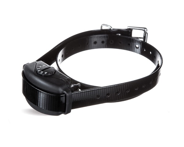 Trini DogWatch, St. James, Trinidad | BarkCollar No-Bark Trainer Product Image